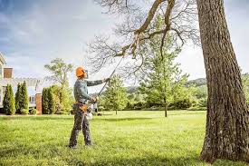 How Our Tree Care Process Works  in  Franklin, NJ