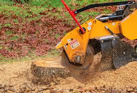 Best Tree Risk Assessment  in Franklin, NJ