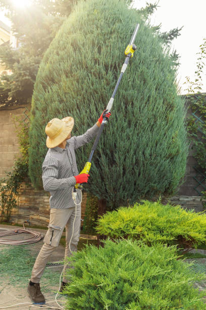 Best Lot and Land Clearing  in Franklin, NJ